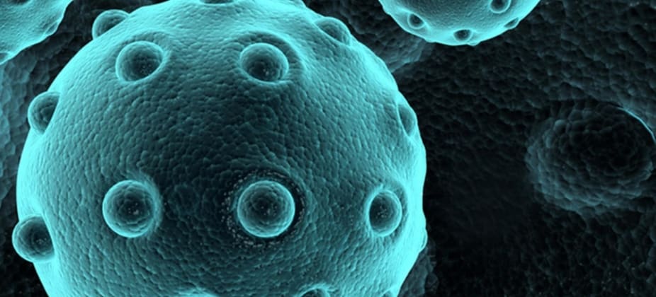 What are Exosomes and how can we benefit from them?